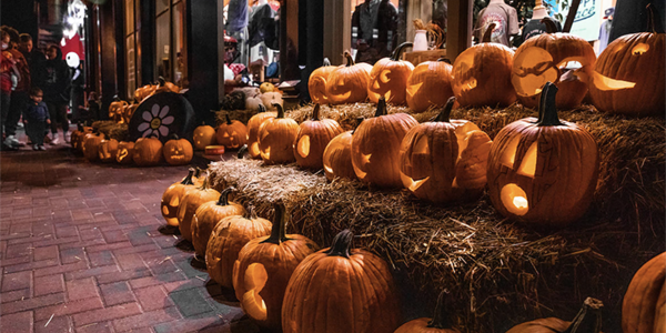 Fun Fall Events in Our Area - 2023
