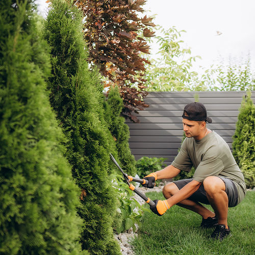 Spring Spruce Up: Essential Tips for Trimming Your Landscape This Season