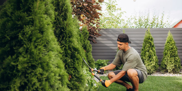 Spring Spruce Up: Essential Tips for Trimming Your &hellip;