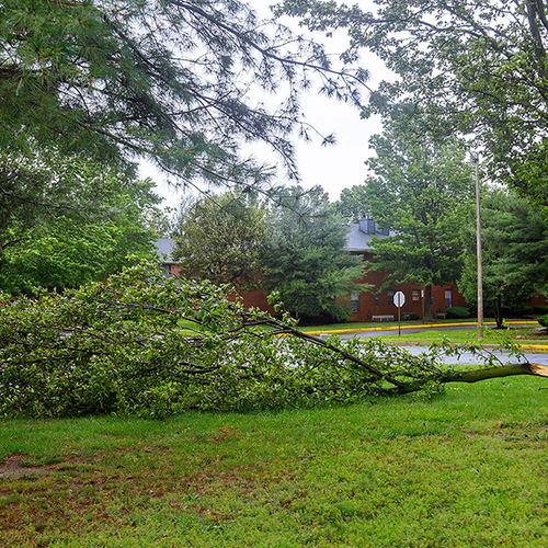 After the Storm Clears: Essential Home Safety Checks