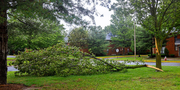 After the Storm Clears: Essential Home Safety Checks
