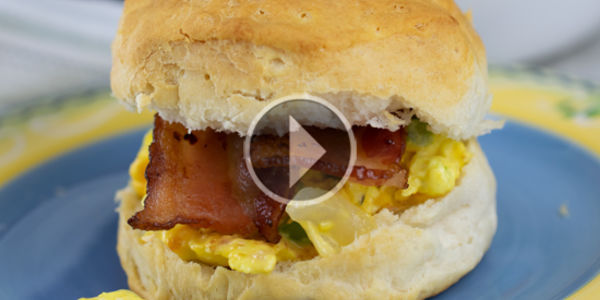 Breakfast Bites