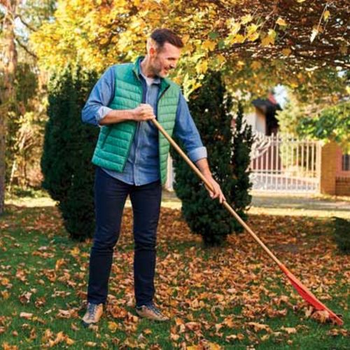 Autumn Lawn Maintenance Tips for a Healthy Yard