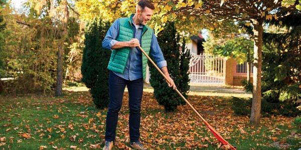 Autumn Lawn Maintenance Tips for a Healthy Yard