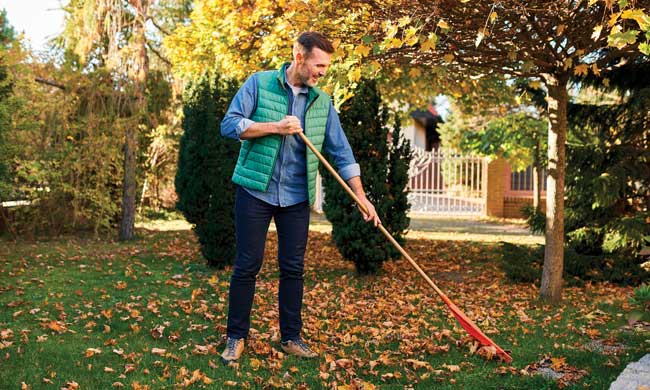 16969-fall-lawn-care-detail-intro-image