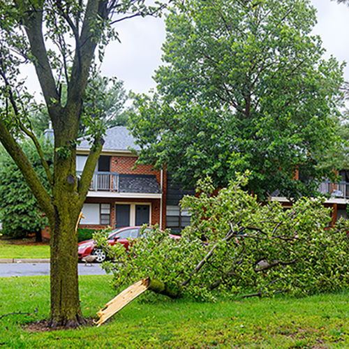 Weathering the Storm: Post-Windy Day Home Inspection