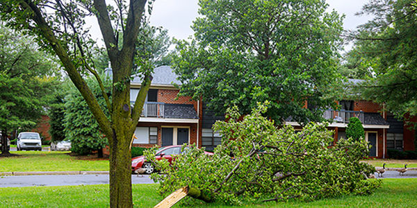 Weathering the Storm: Post-Windy Day Home Inspection