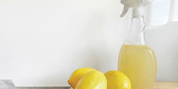 Go Green with Home Cleaners