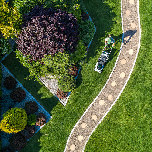 Lush Lawn Goals: 5 Tips for a Green Summer Oasis