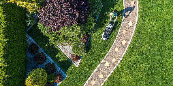 Lush Lawn Goals: 5 Tips for a Green &hellip;