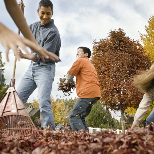 Fall Lawn Care Guide