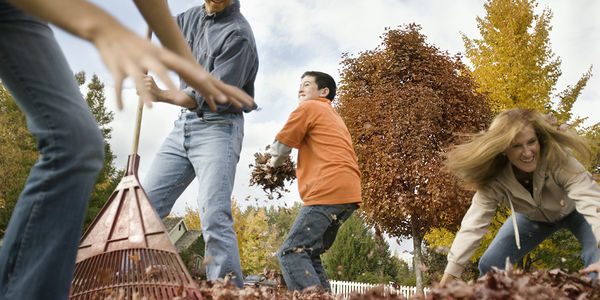 Fall Lawn Care Guide