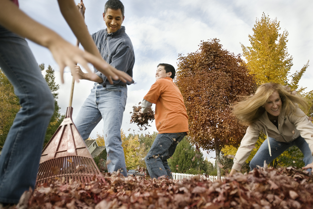 USA,People in a garden raking fallen leaves into piles, and throwing them in the air.