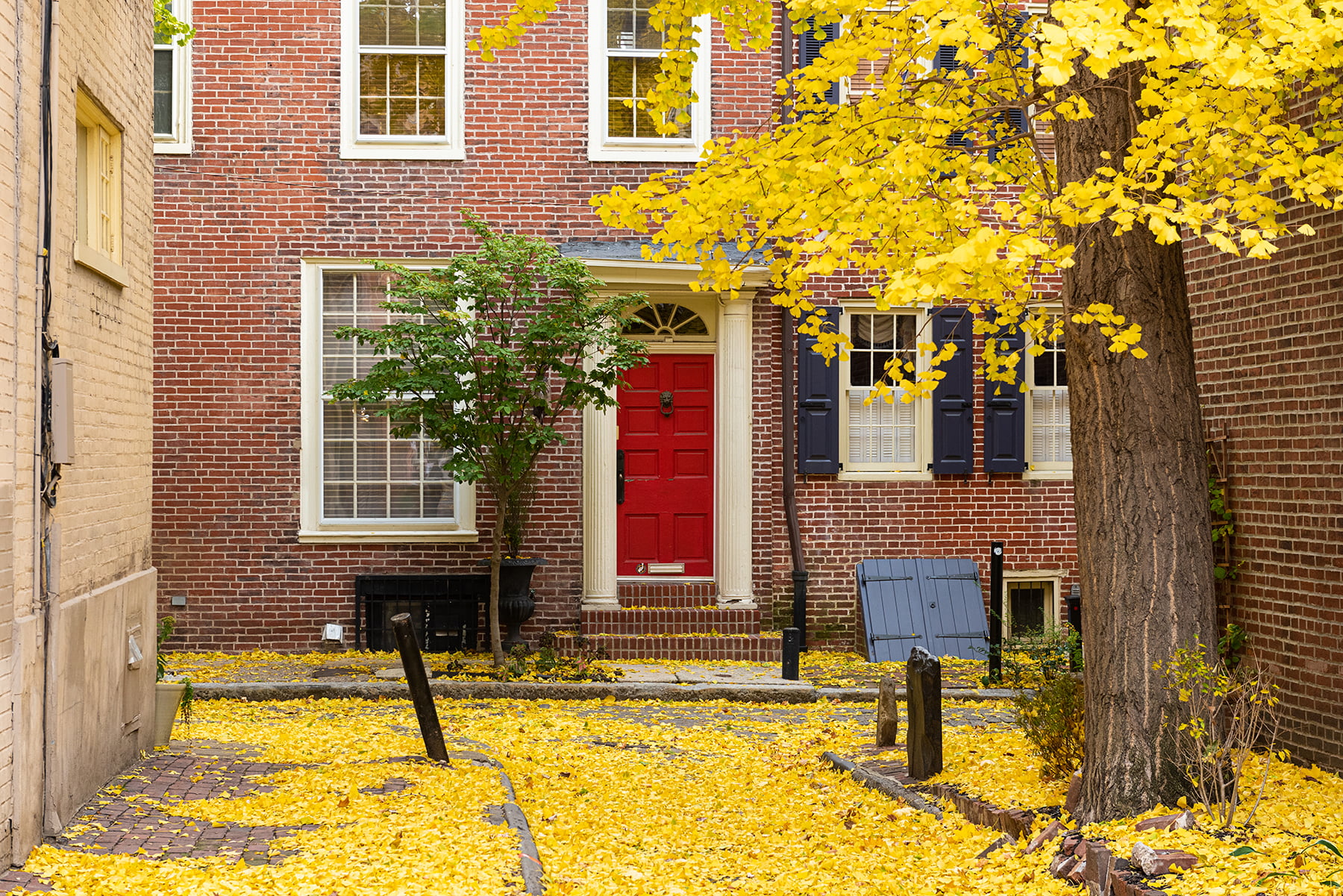 Autumn alleyway in Philadelphia, Pennsylvania, USA