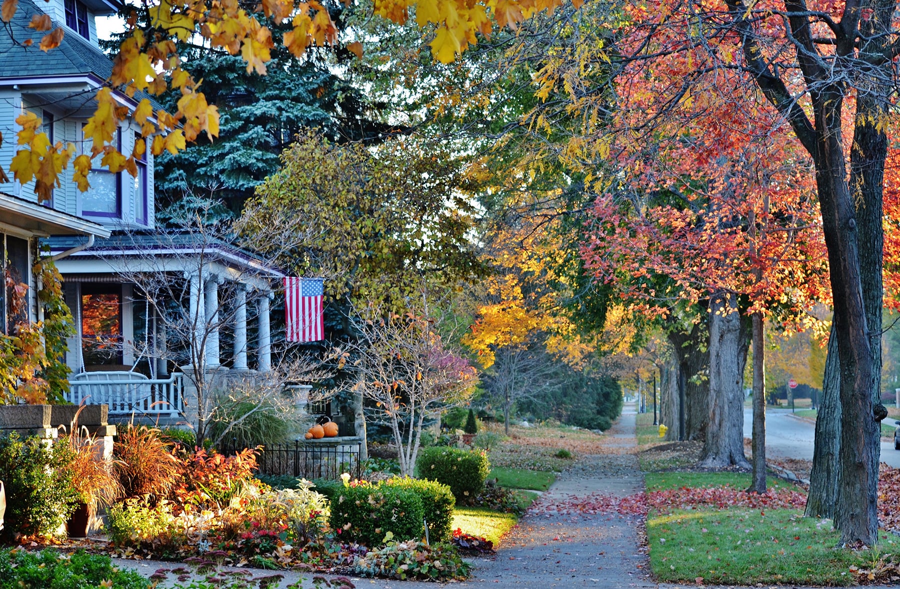 autumn-colors-on-a-tree-lined-street-2026-03-17-03-59-11-utc