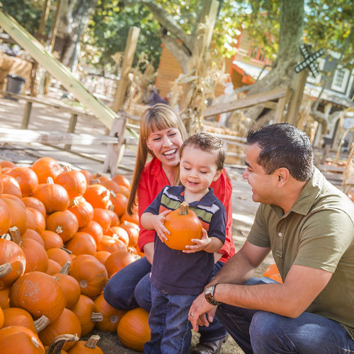 Your Local Fall Bucket List: Best Spots for Autumn Fun
