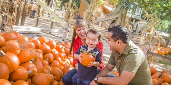 Your Local Fall Bucket List: Best Spots for &hellip;
