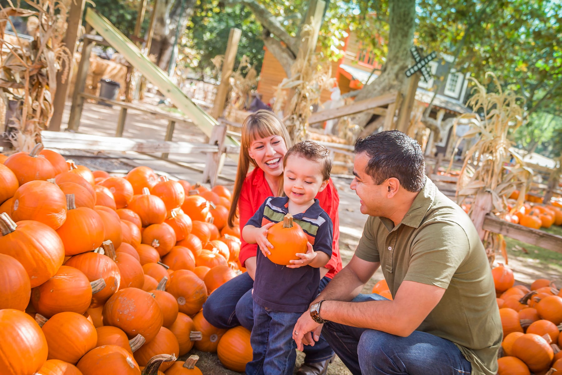 Happy Mixed Race Family Picking Pumpkins at the Pumpkin Patch.
