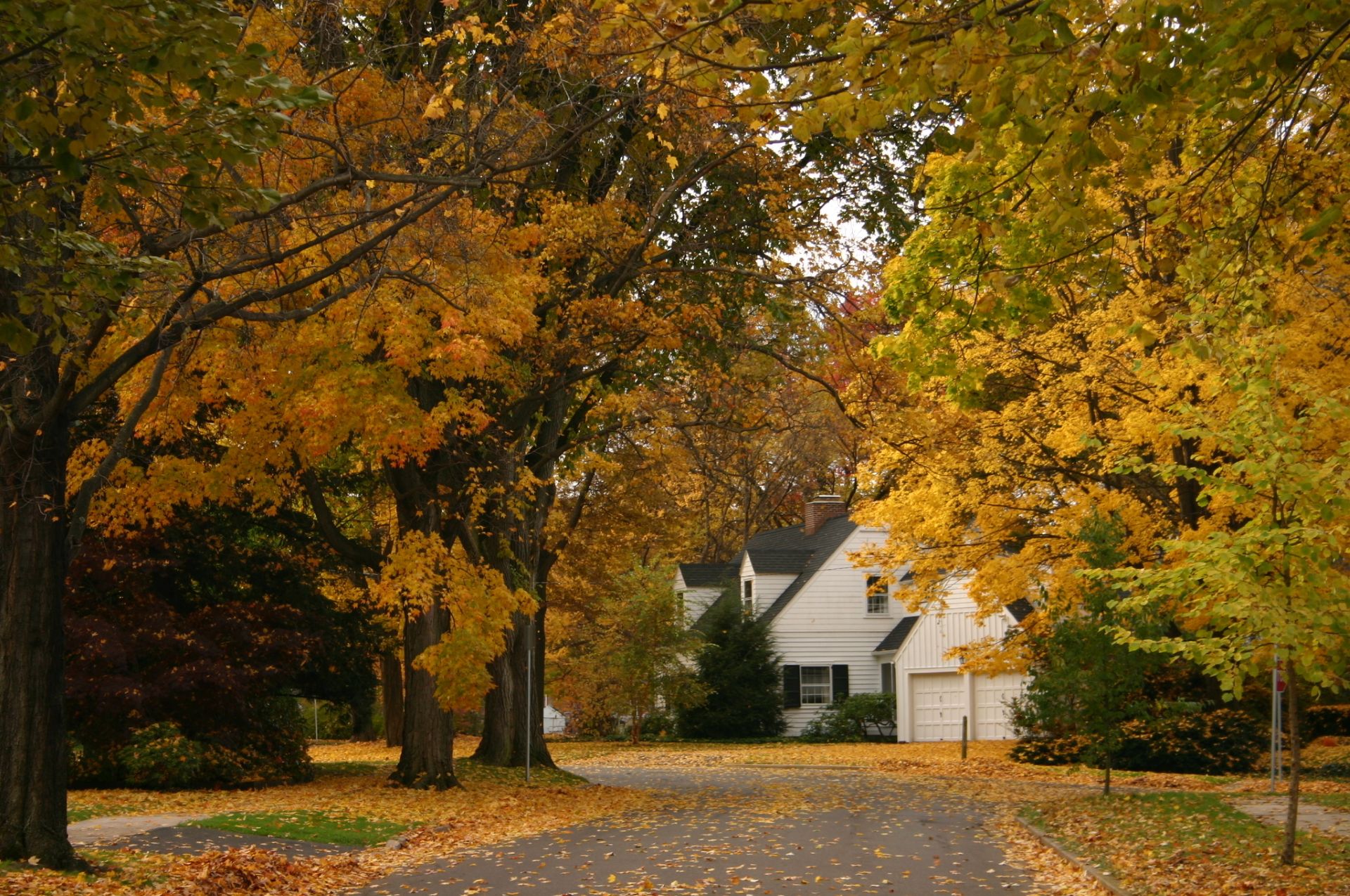 A colorful autumn street leading to a home