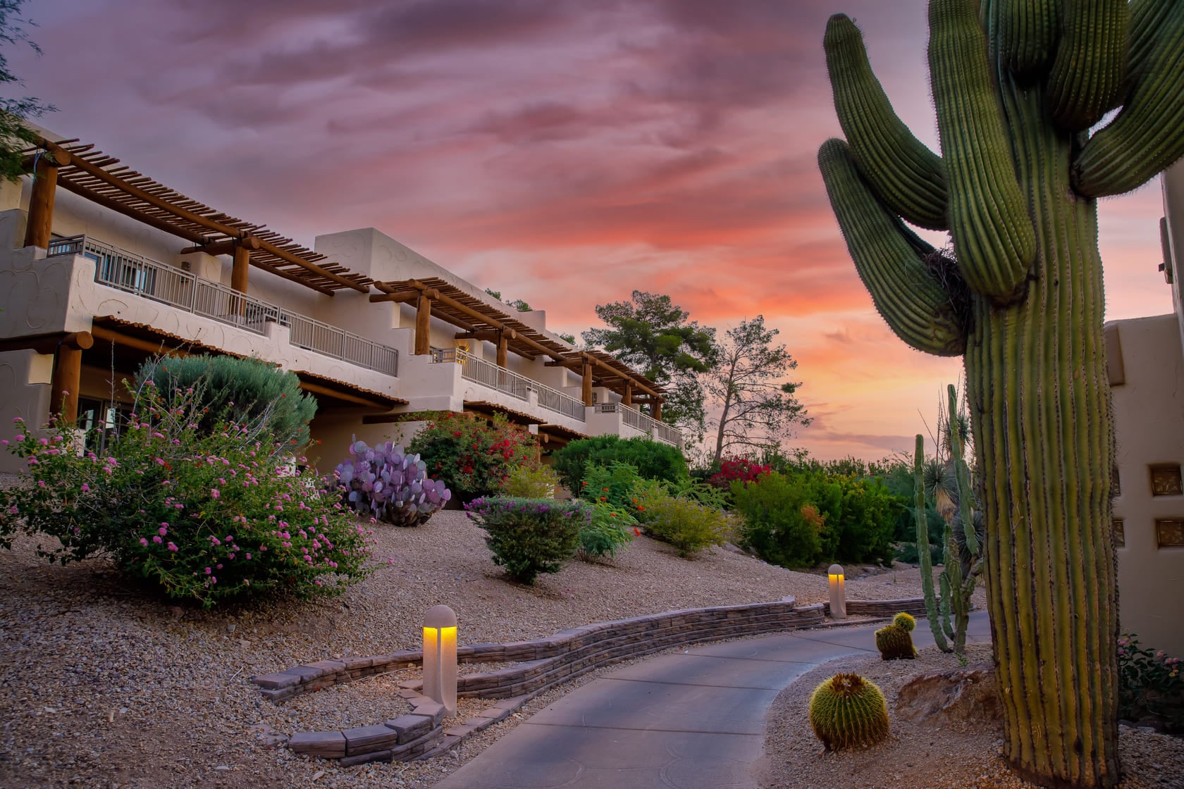 arizona resort with cactus and sunset