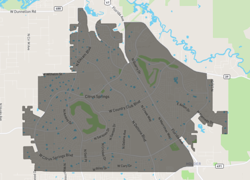 citrus springs.png