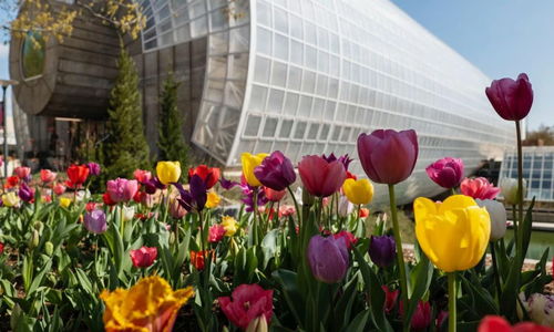 Best Spring Events in Oklahoma City (2026)