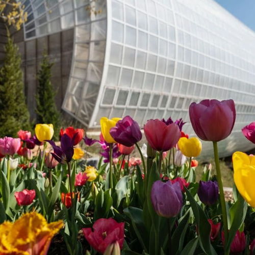 Best Spring Events in Oklahoma City (2026)