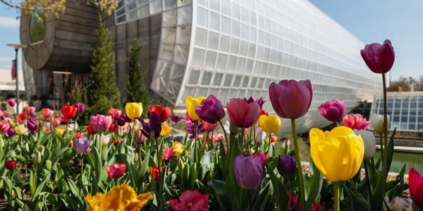 Best Spring Events in Oklahoma City (2026)