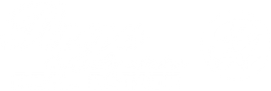 Logo White