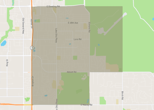 abbott loop.png