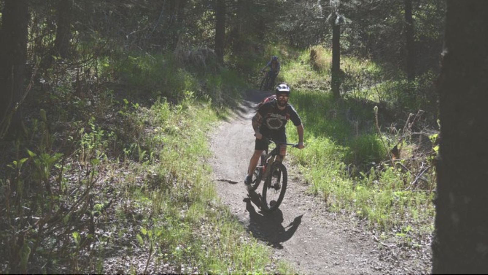Mountain biker riding singletrack through a forested trail in Anchorage