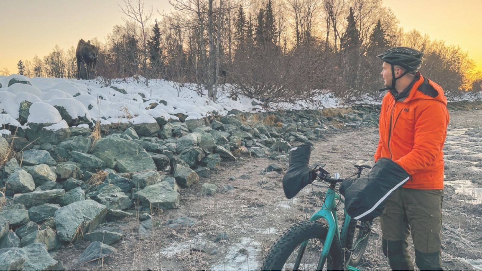 Fat biker standing near a moose on a snowy Anchorage trail in winter