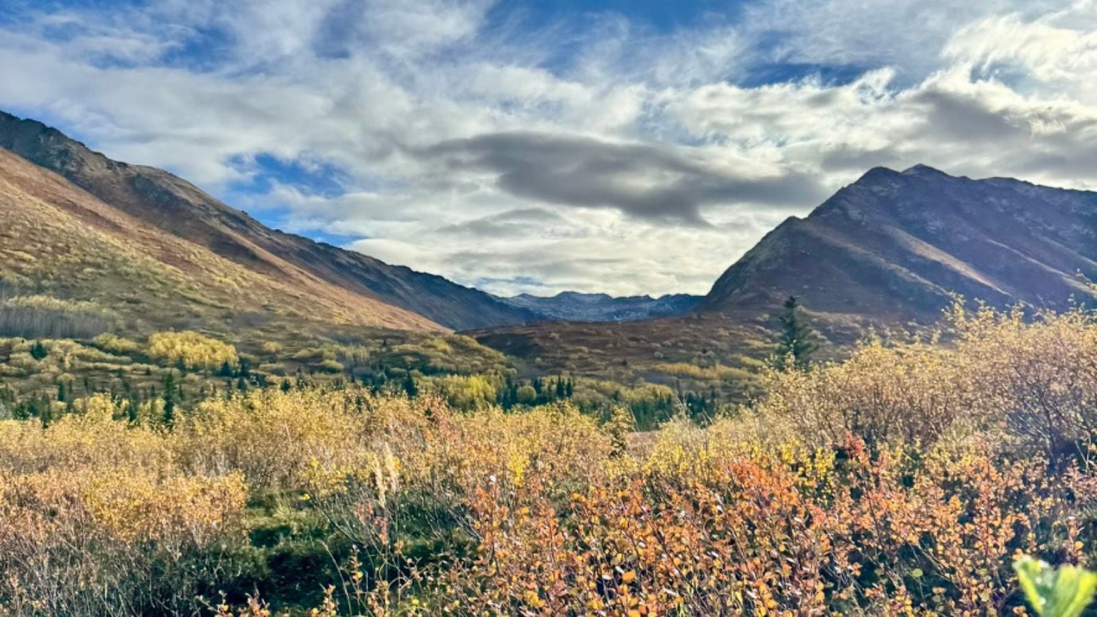 Outdoor trail near Anchorage for Colorado relocators comparing Denver and Alaska outdoor access