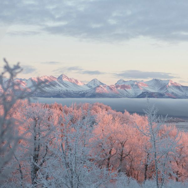 Winter in Anchorage Alaska neighborhood 4