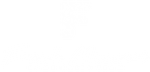 White-Team-Logo-Transparent1