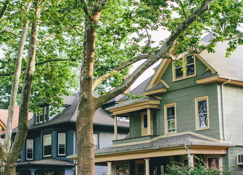 Ditmas-Park-thumb-large