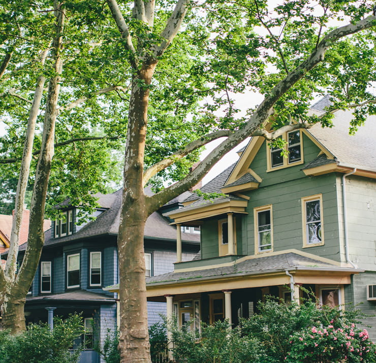Ditmas Park