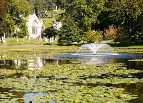Greenwood pond and lily pads