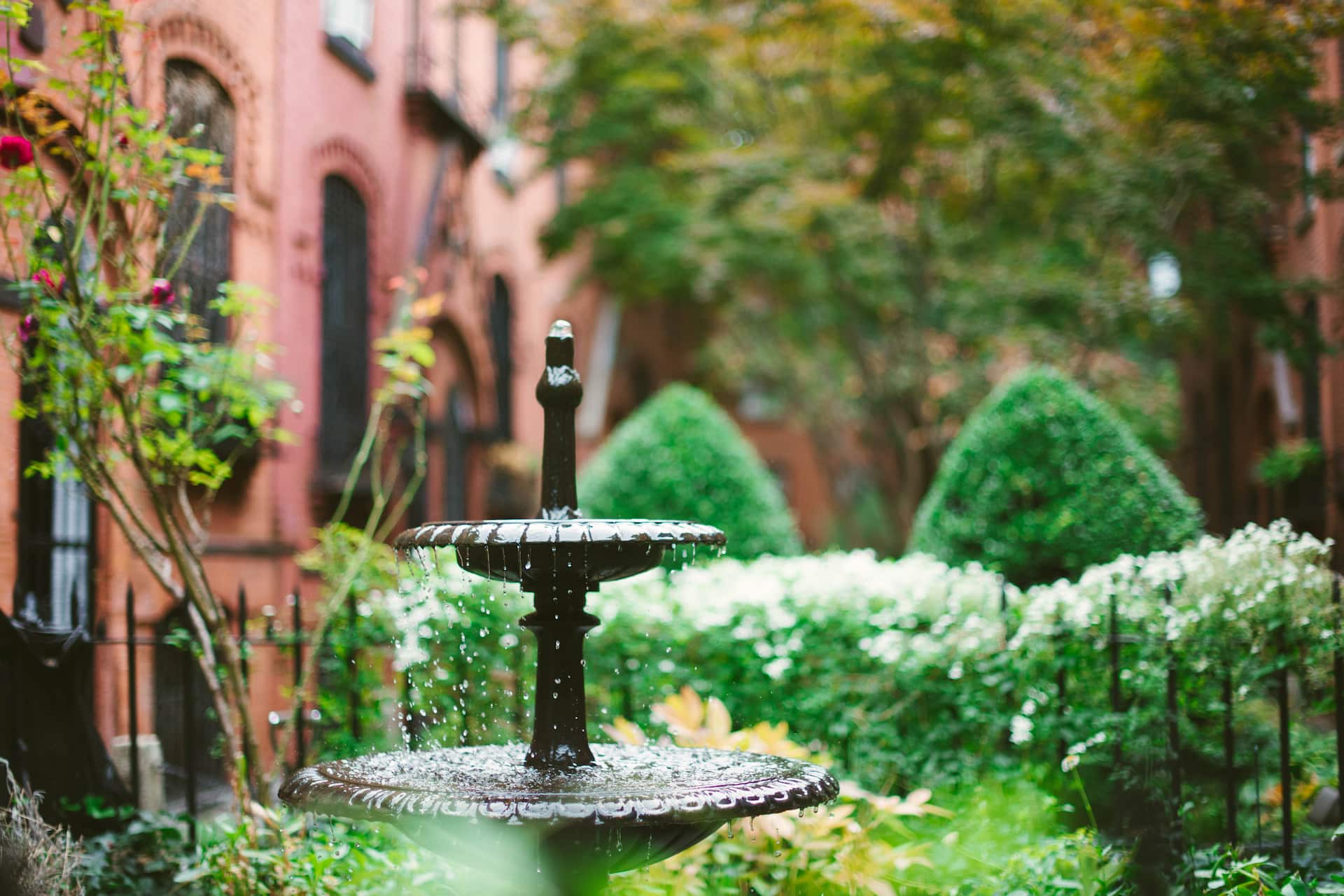 Carroll Gardens