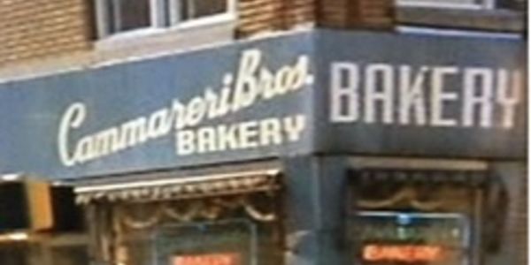Neighborhood Spotlight: Carroll Gardens Then and Now