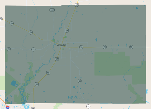 desoto county.png