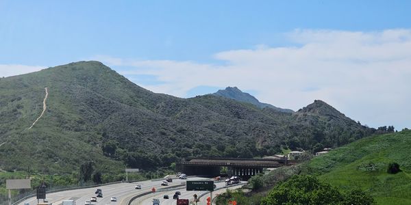 The Wallis Annenberg Wildlife Crossing Opens December 2: &hellip;