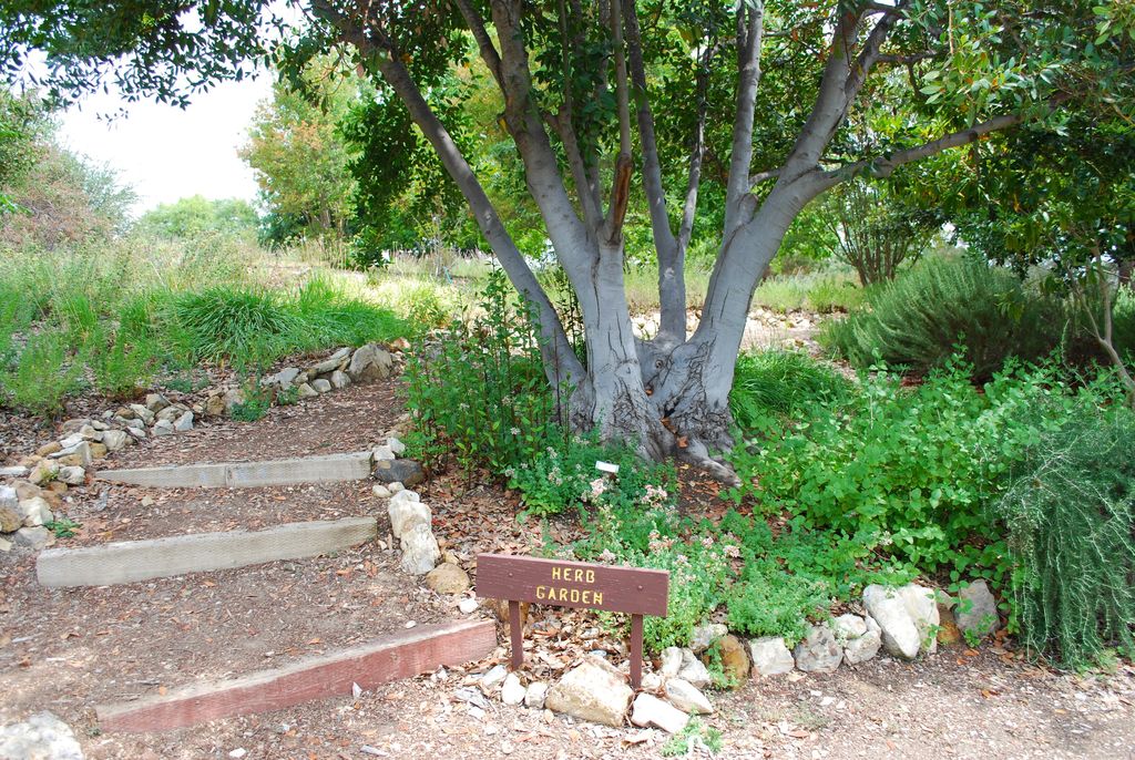 A path through the Conejo Valley Botanic Garden in Thousand Oaks, California
