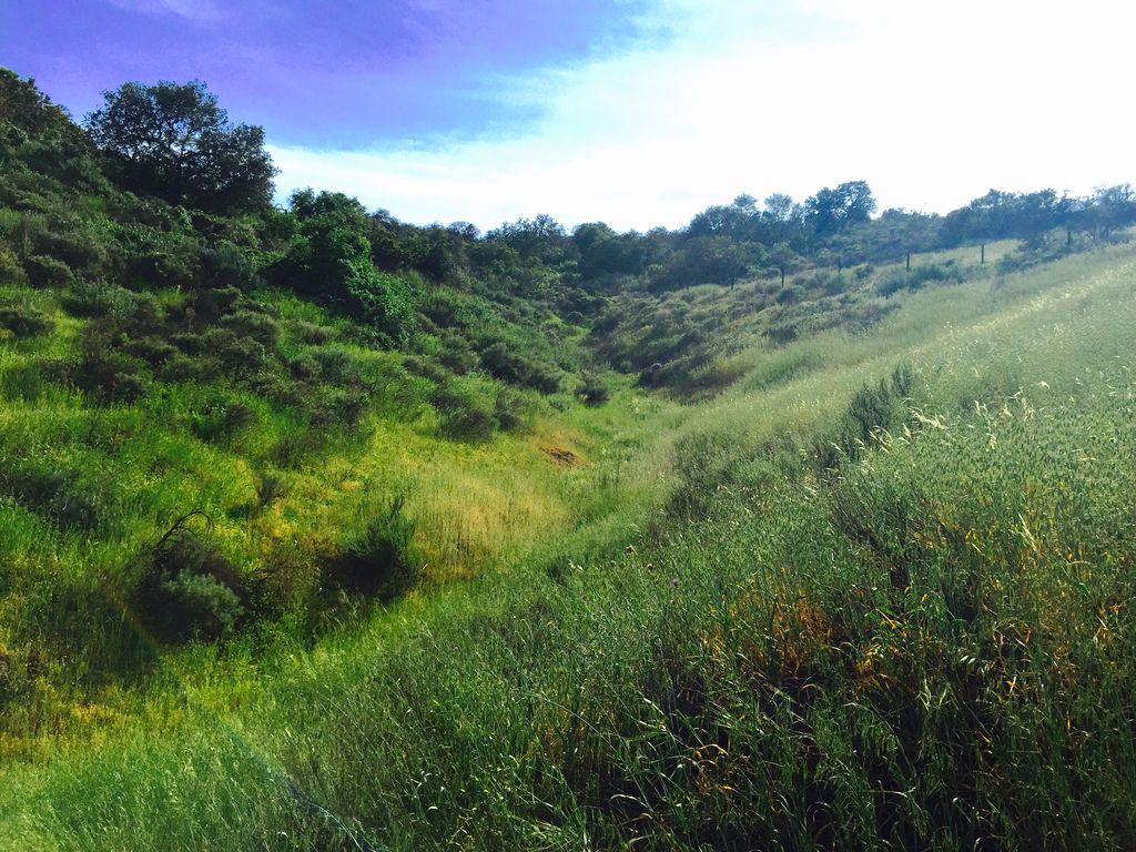 Green hillsides rising above Westlake Village, California