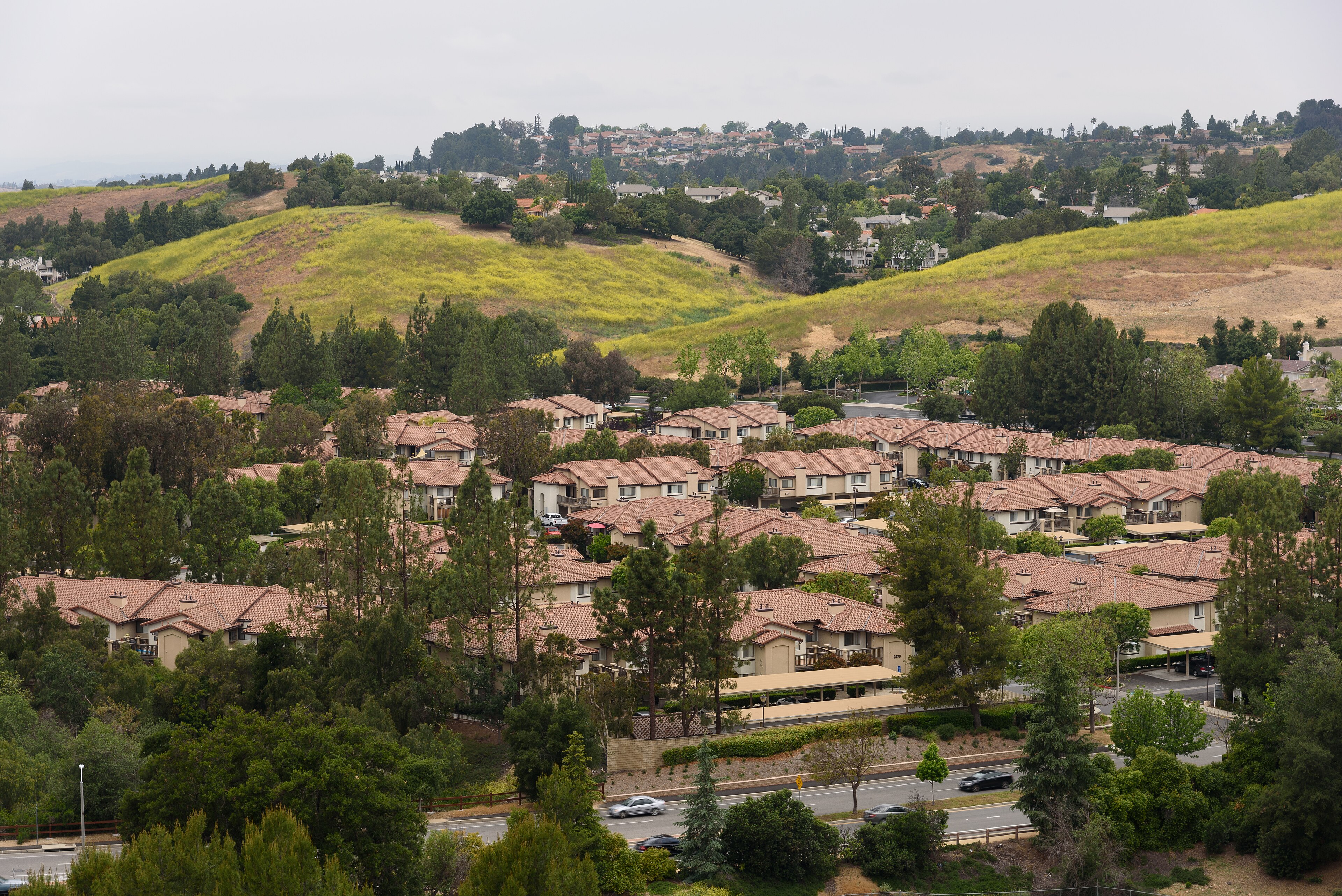 Rolling oak woodland and grassland in the Lang Ranch and North Ranch area of Thousand Oaks