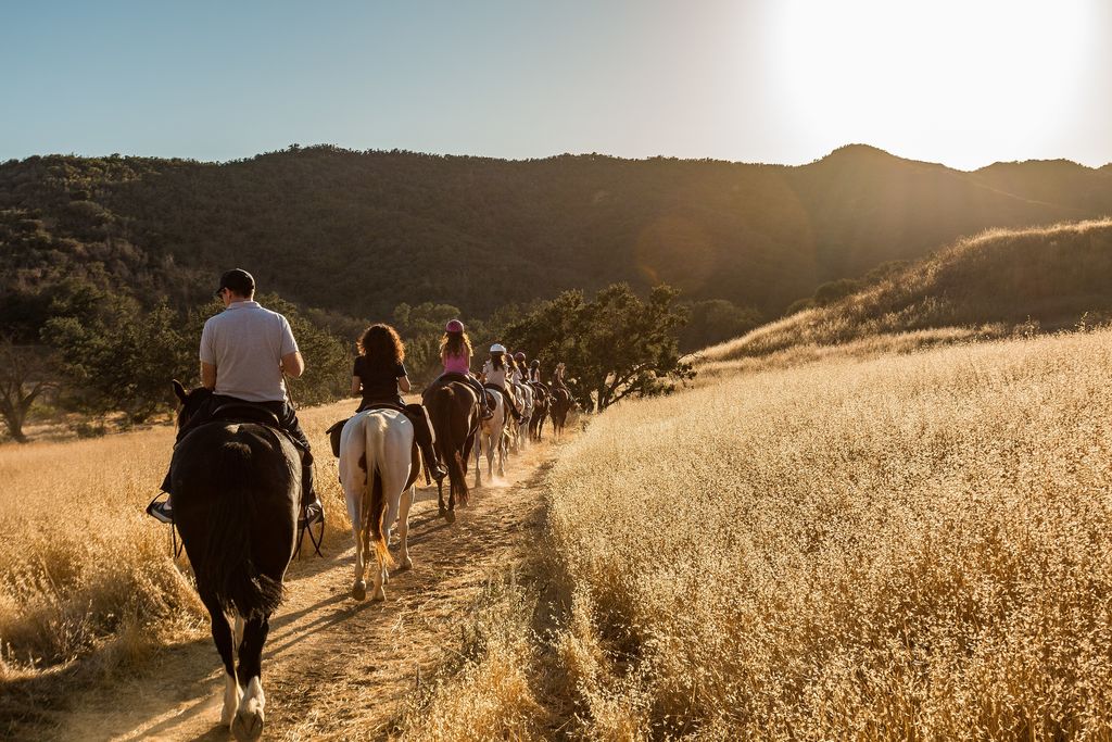 Chaparral-covered slopes in the Santa Monica Mountains National Recreation Area