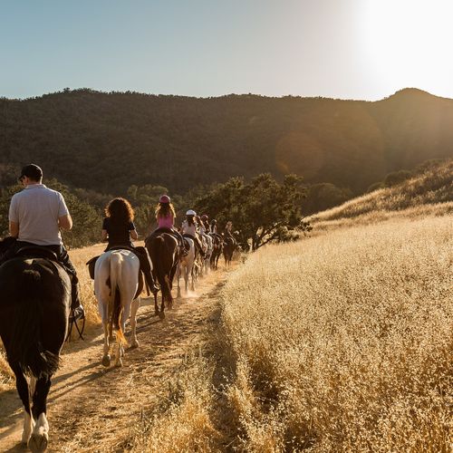 Fire Hazard Zones, Brush Clearance and Insurance in the Conejo Valley: A Plain-English Guide