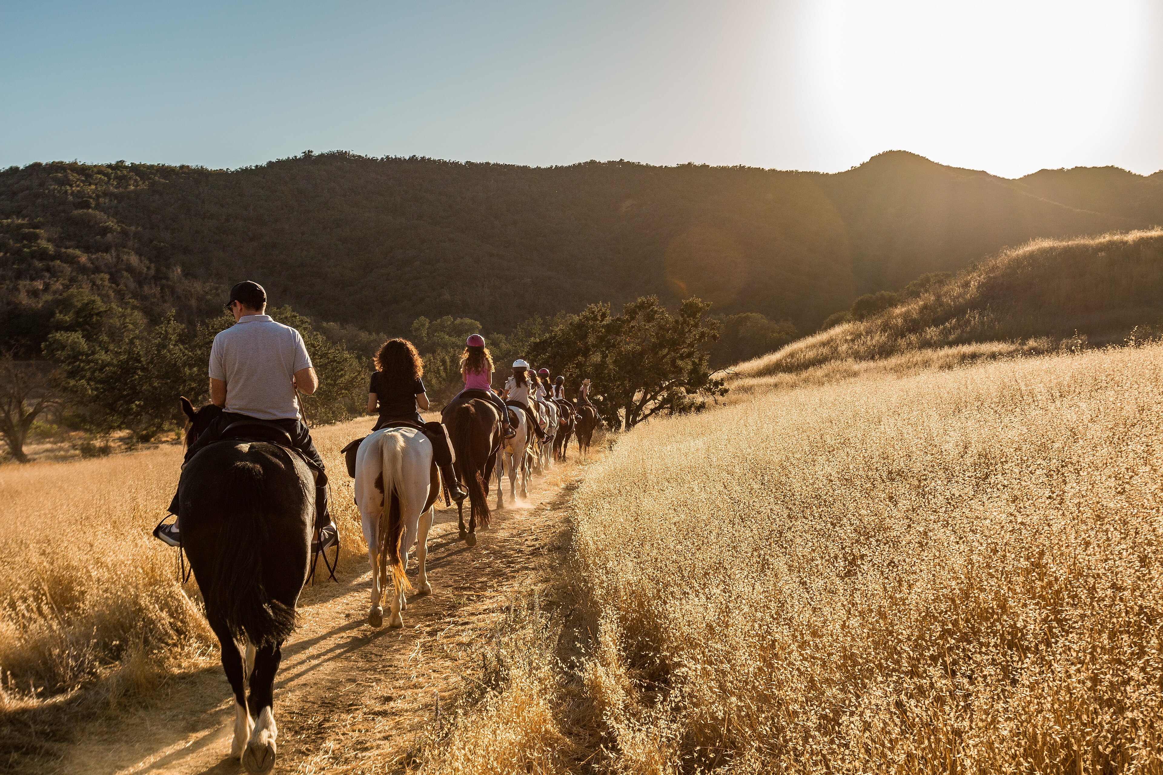 Chaparral-covered slopes in the Santa Monica Mountains National Recreation Area