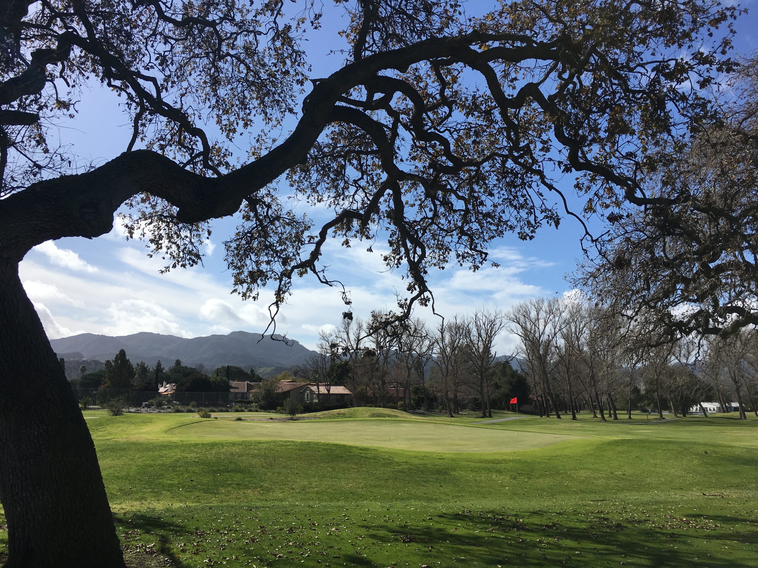Oak trees lining a fairway at Westlake Golf Course in Westlake Village