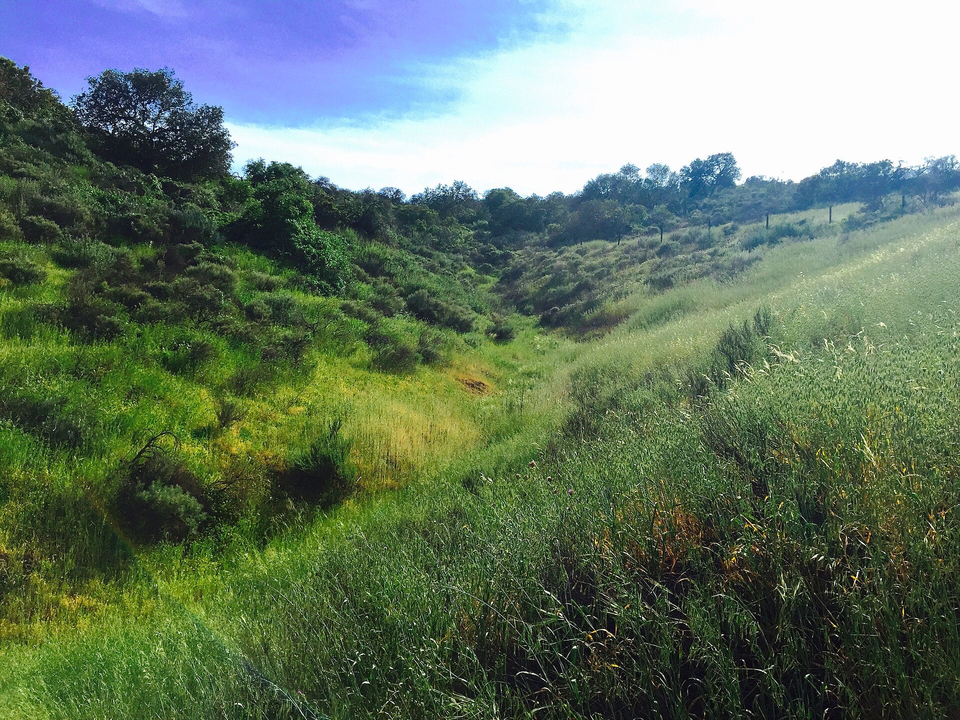 Annandale/Whispering Pines, Agoura Hills